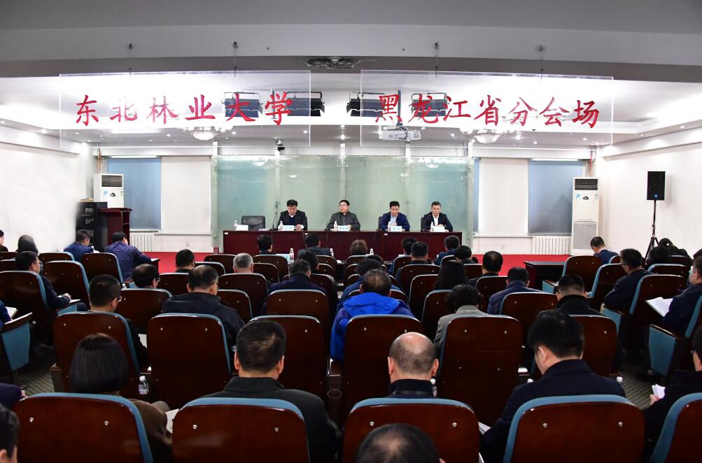 22222222.jpg 22222222.jpg